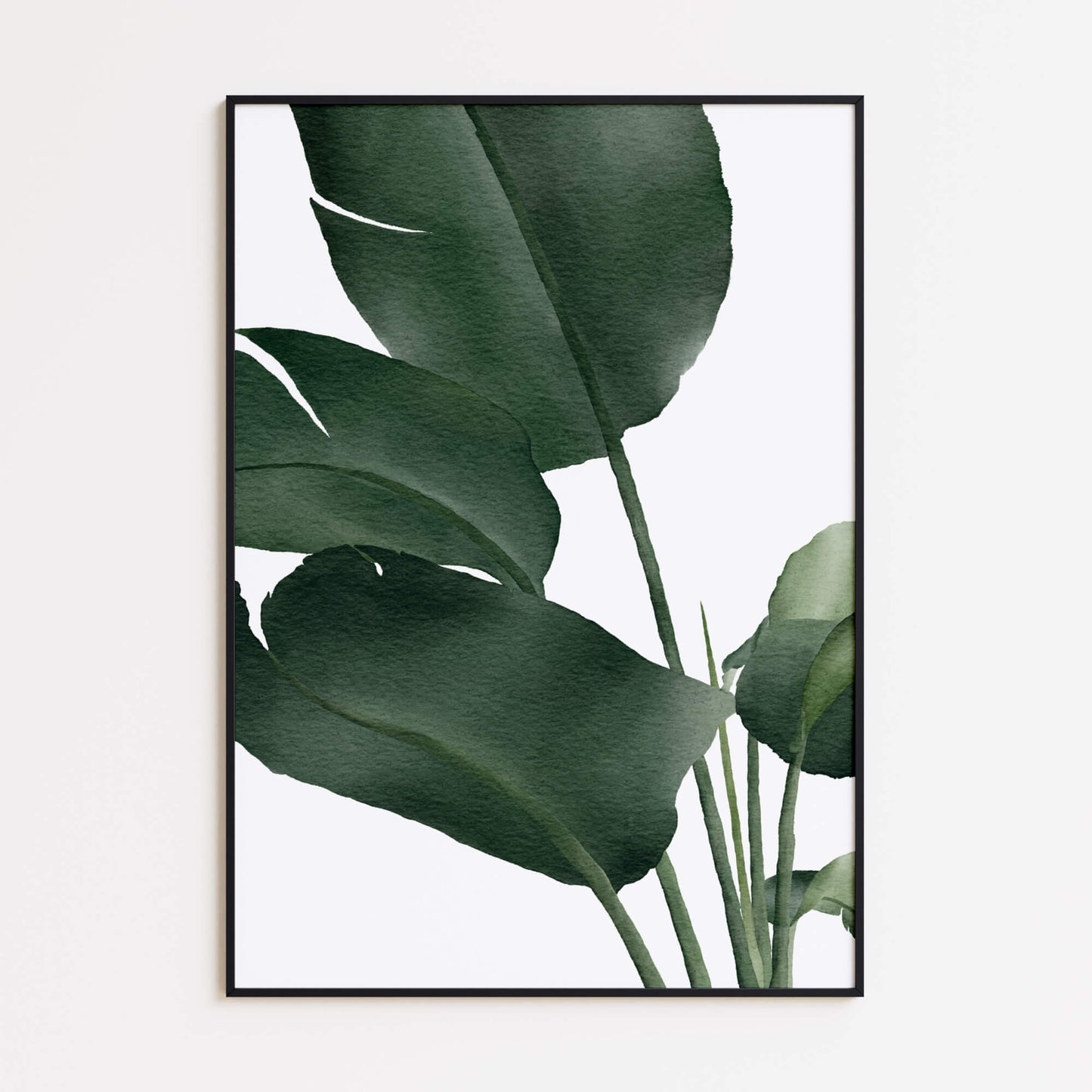 Banana Leaves Poster