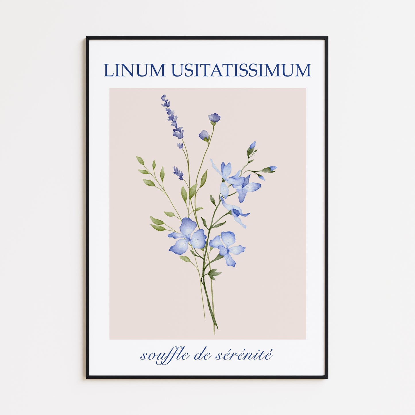 Linum Usitatissimum Poster
