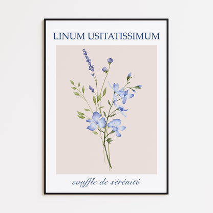 Linum Usitatissimum Poster