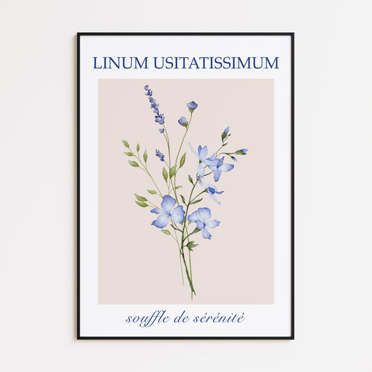 Poster Linum Usitatissimum