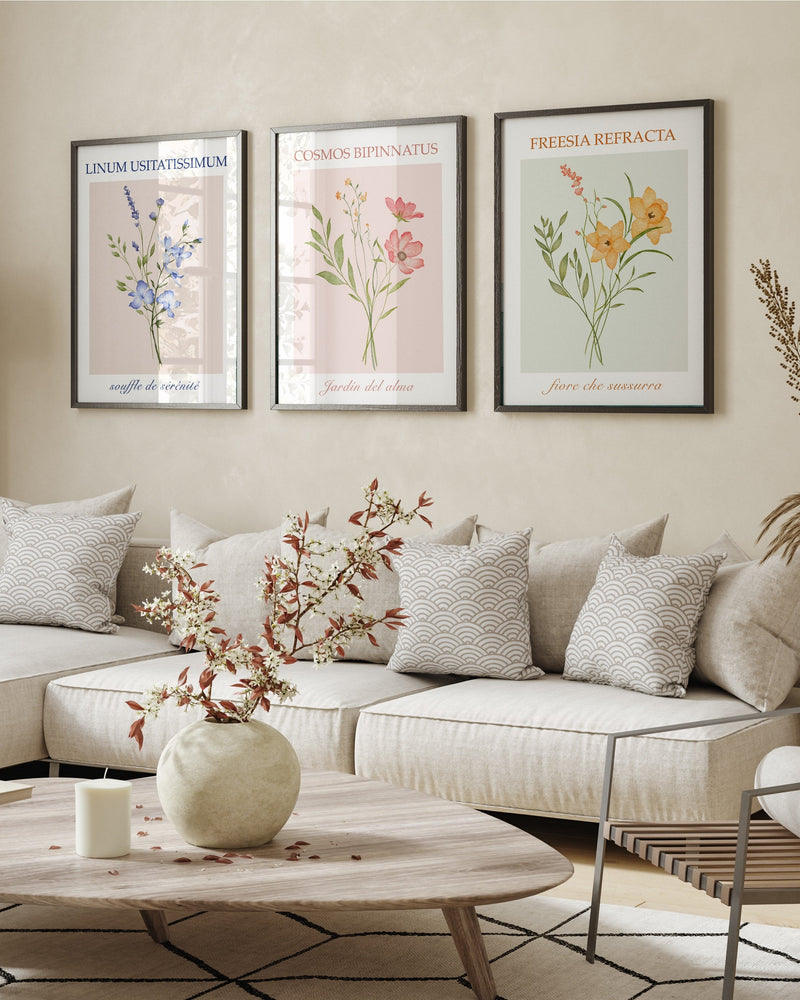 POSTER-SETS