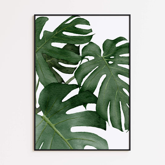 Monstera Leaves Poster