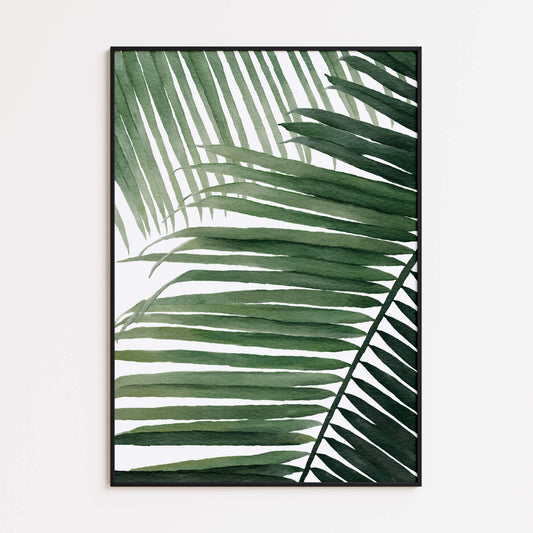 Palm Leaves Poster