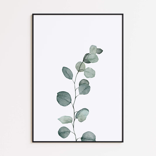 Eukalyptusstamm Poster