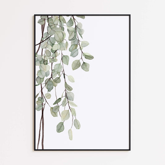 Eukalyptusblätter im Aquarellstil - Druckbares botanisches Poster